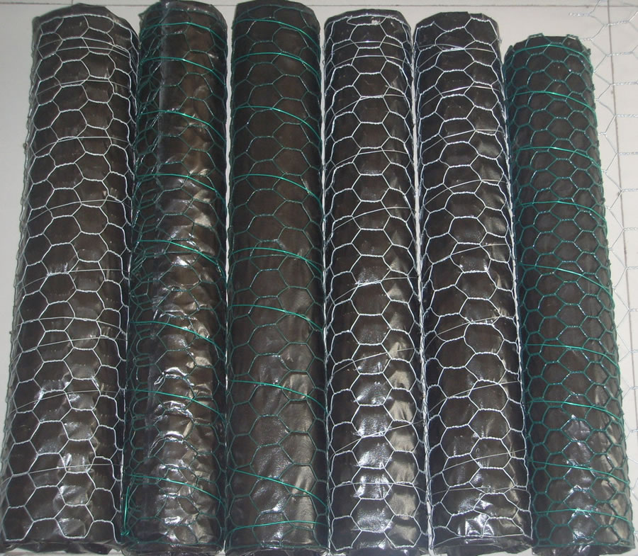 20 Gauge Galvanized And Green Vinyl Coated Woven Wire Netting of 25mm (one inch) Hole