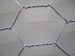 Hot Dipped Galv. Steel Chicken Wire Netting For Fence or Gabion Uses