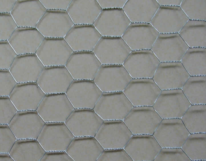 Zinc Plated Hexagon Wire Netting for Chicken Fencing Uses