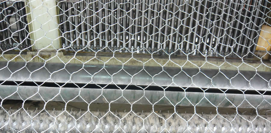 Poultry Fencing Hexagonal Mesh