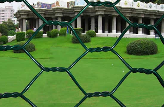 Green Plastic Coated Woven Wire Mesh
