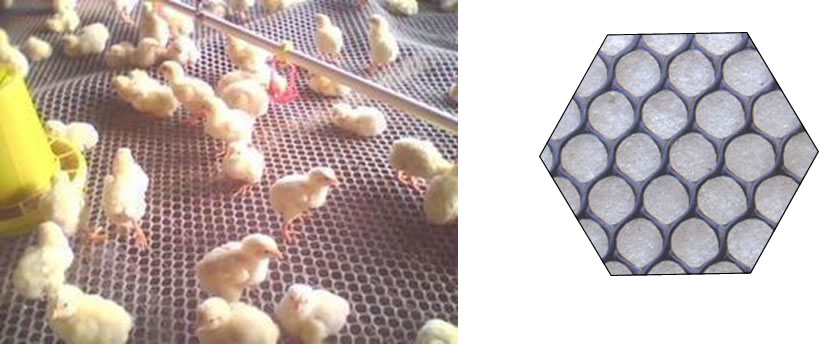 Extruded Flat PVC Hexagonal Hole Chicken Netting