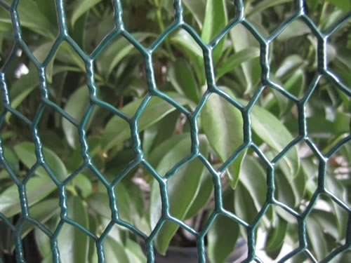 Green Coated Steel Hexagonal Mesh