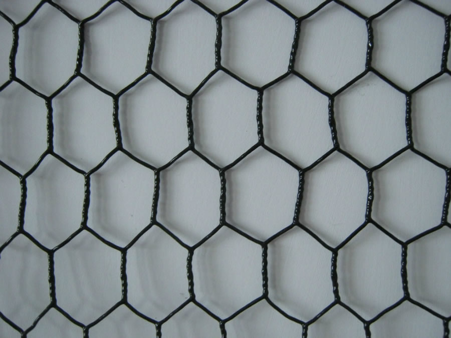 18 Gauge Black Vinyl Coated Chicken Wire Mesh: Processing, Features and  Roll Sizes